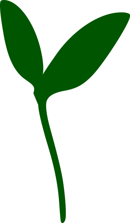 Tanemaki